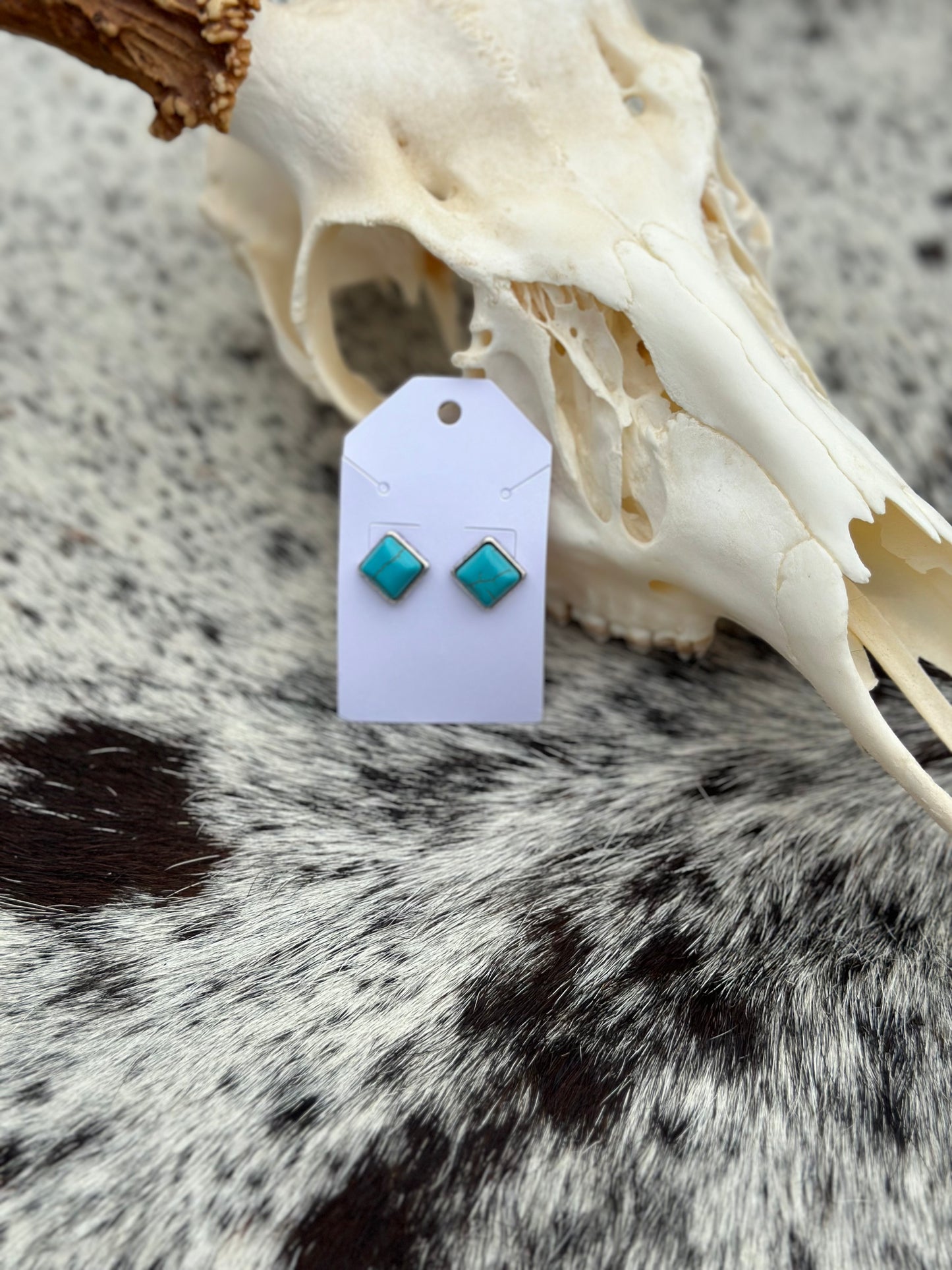 Turquoise Stud Earrings